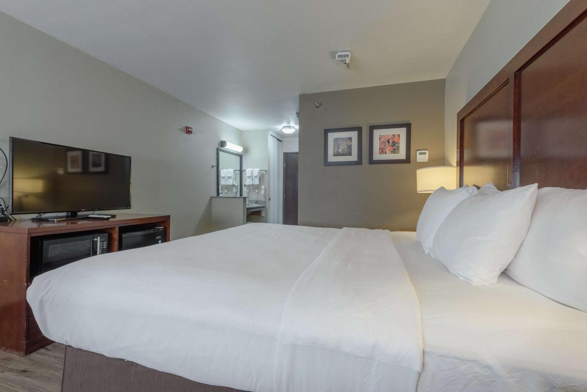 Comfort Inn & Suites Alamosa Bagian luar foto