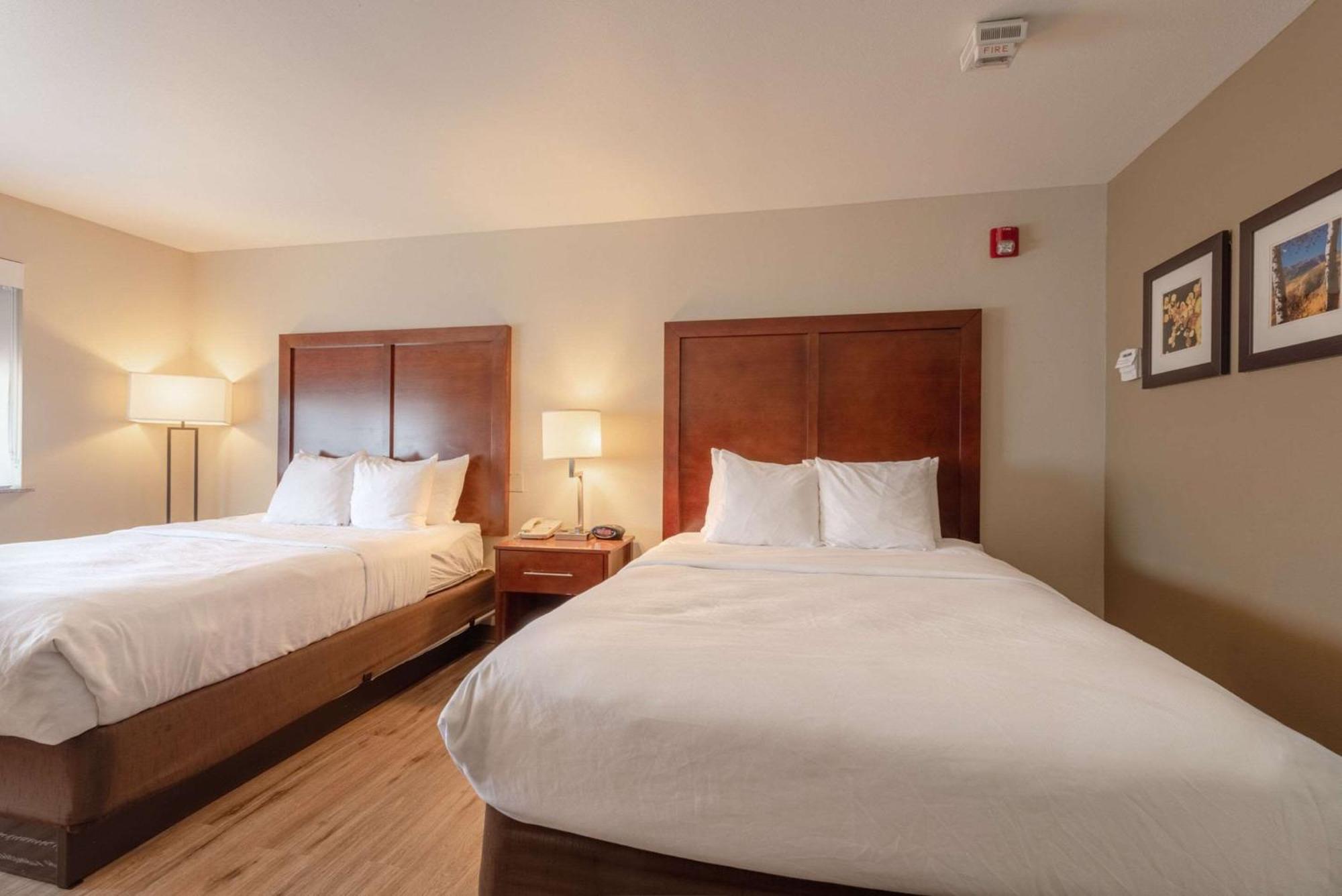 Comfort Inn & Suites Alamosa Bagian luar foto